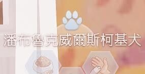 QQͼ20230417164156.jpg