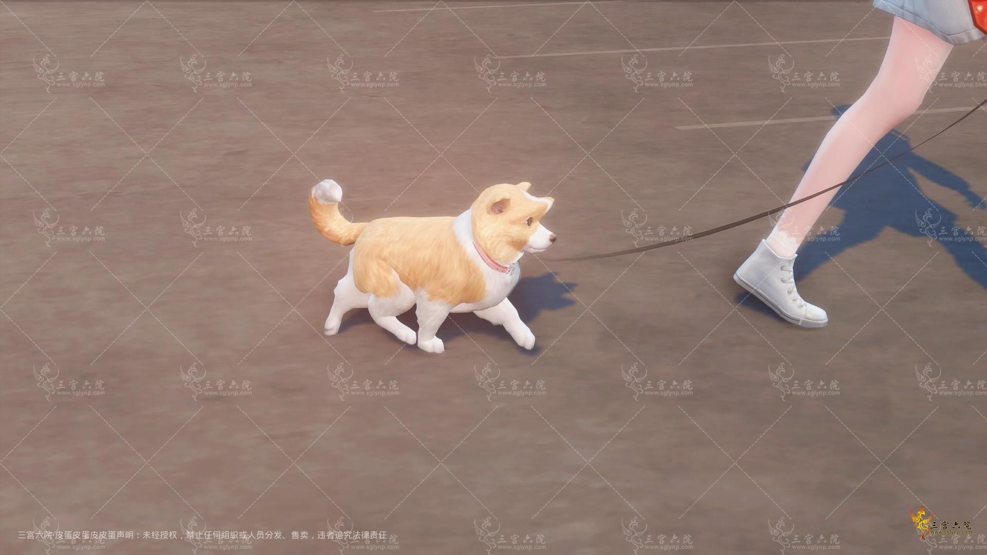 QQͼ20230417163935.jpg