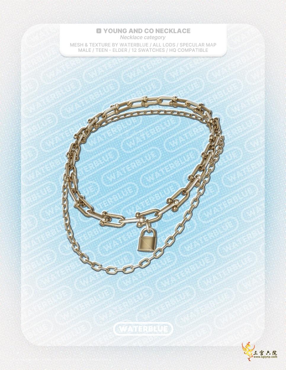 youngandco necklace1.png