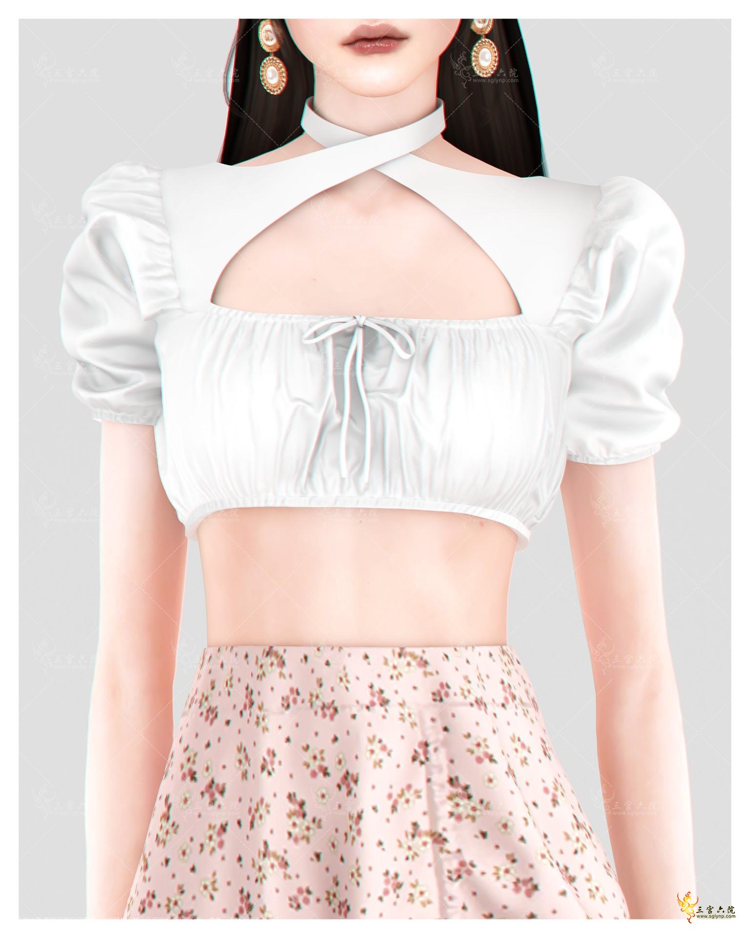 hazelcroptopwithpuffsleeves.png