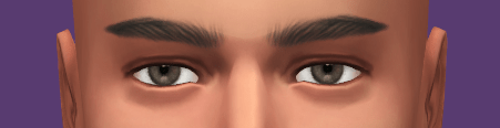 1111.PNG