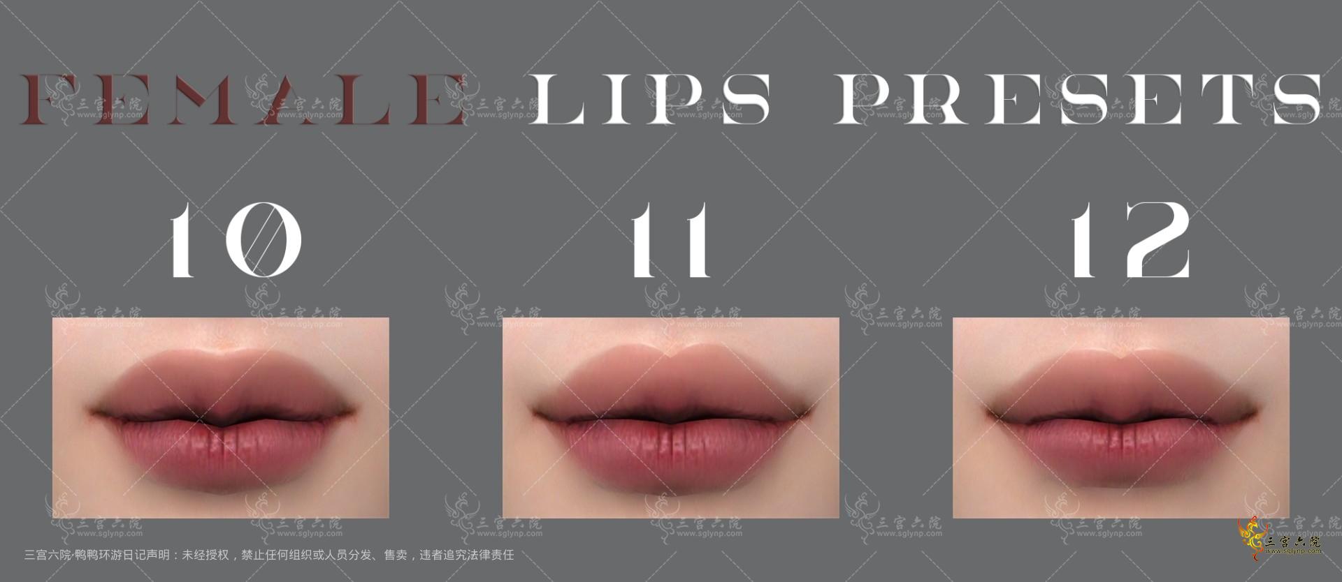 lips presets 10-12.png
