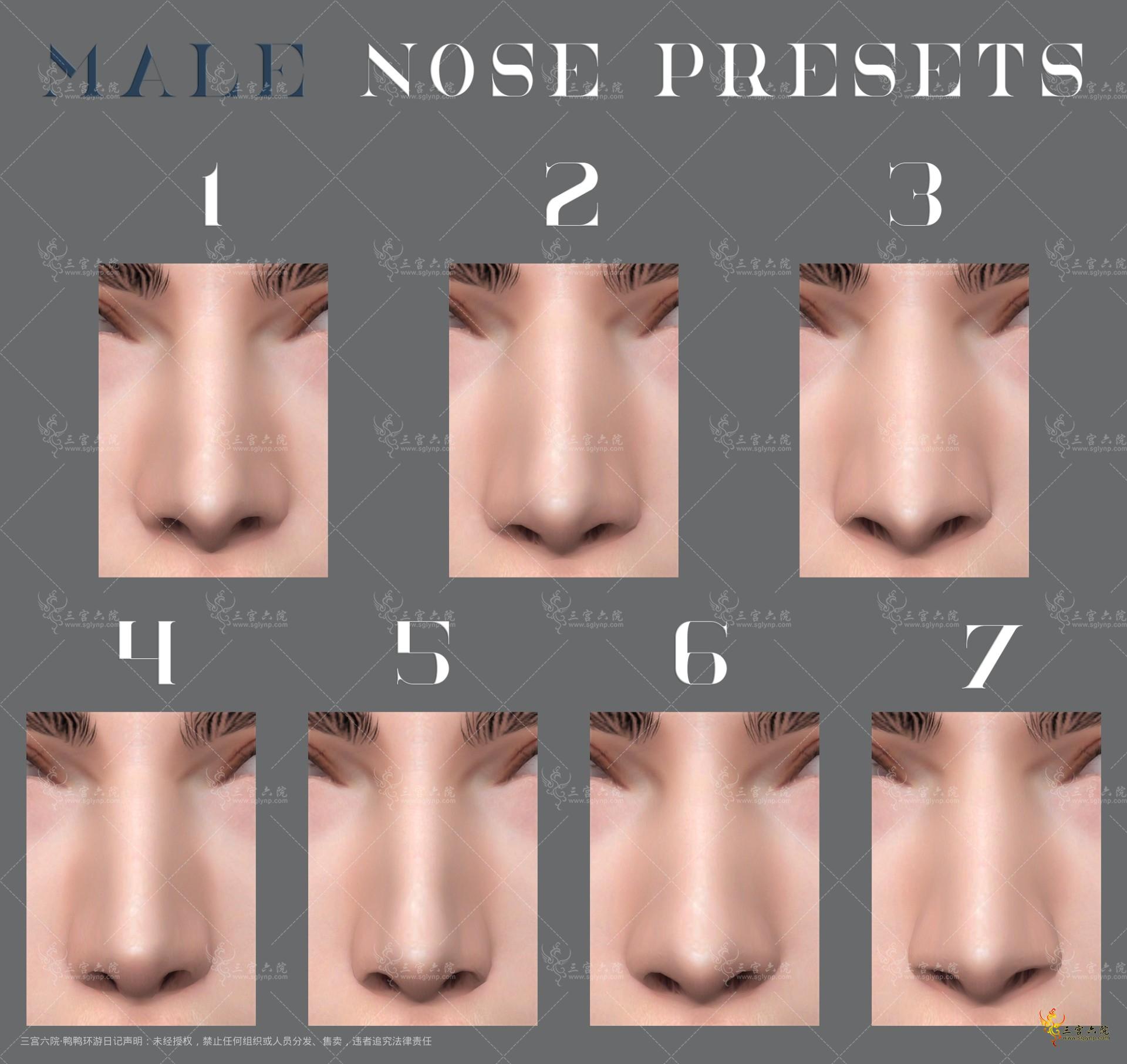 nose presets 1-7.png