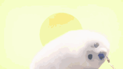 2ef4b68530835854.gif
