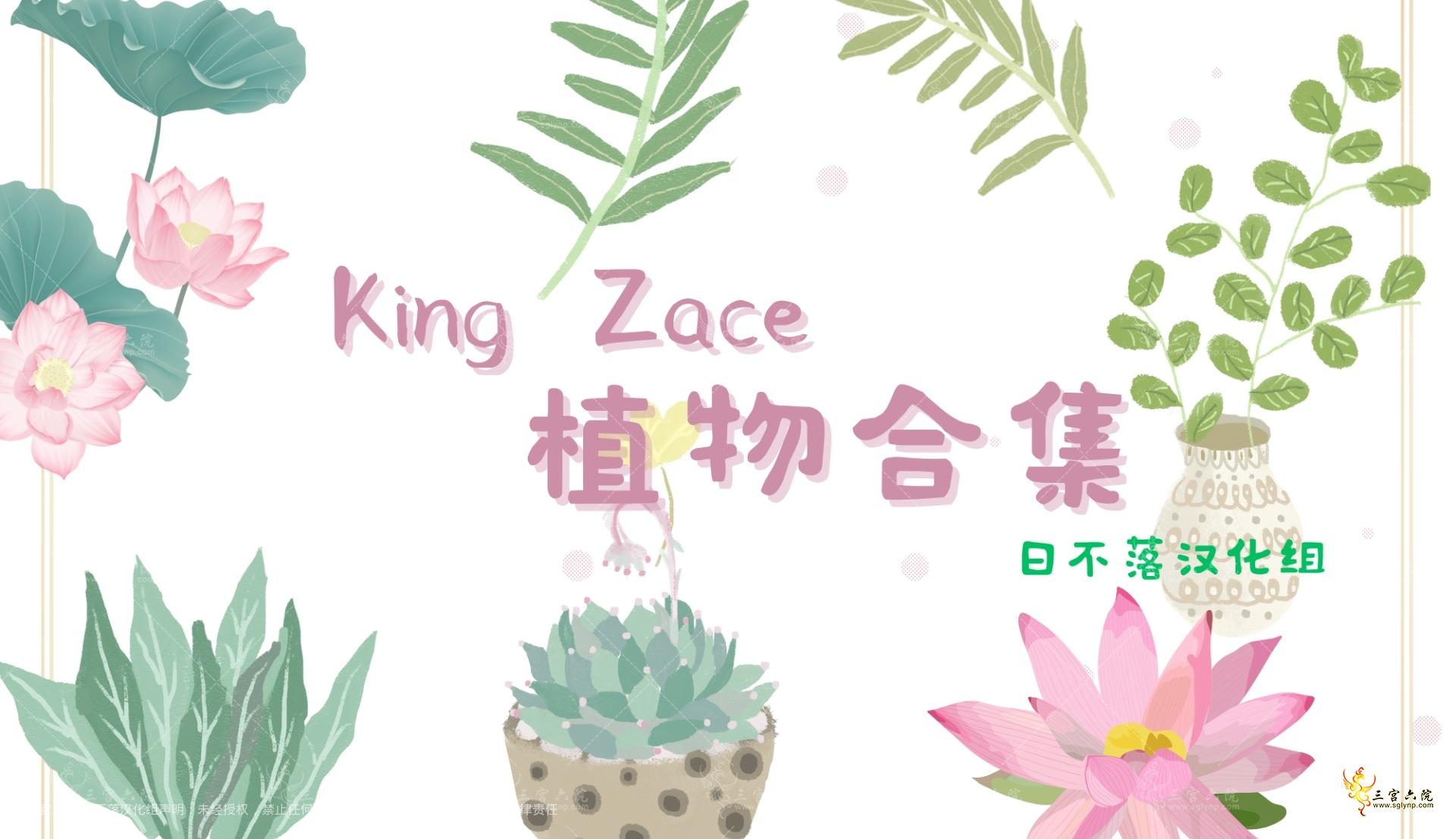 ղ䡿ζKing ZaceԶֲ24ֲＴ̷