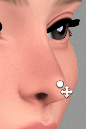 nose tip higher lower.gif
