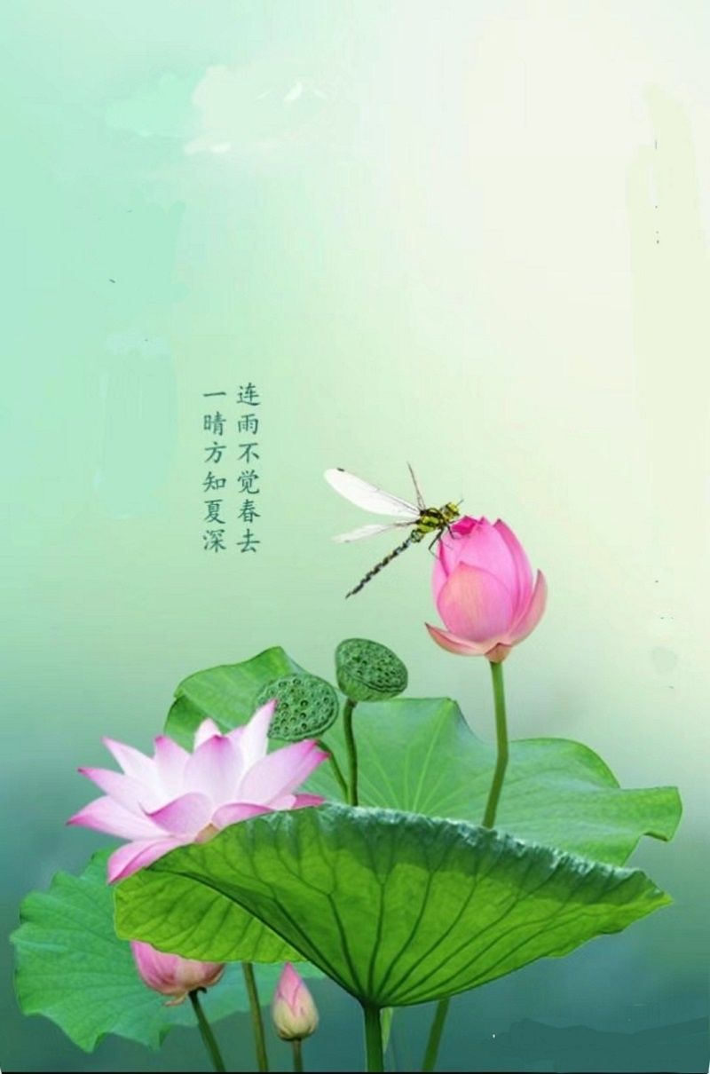 20240529_184102.jpg
