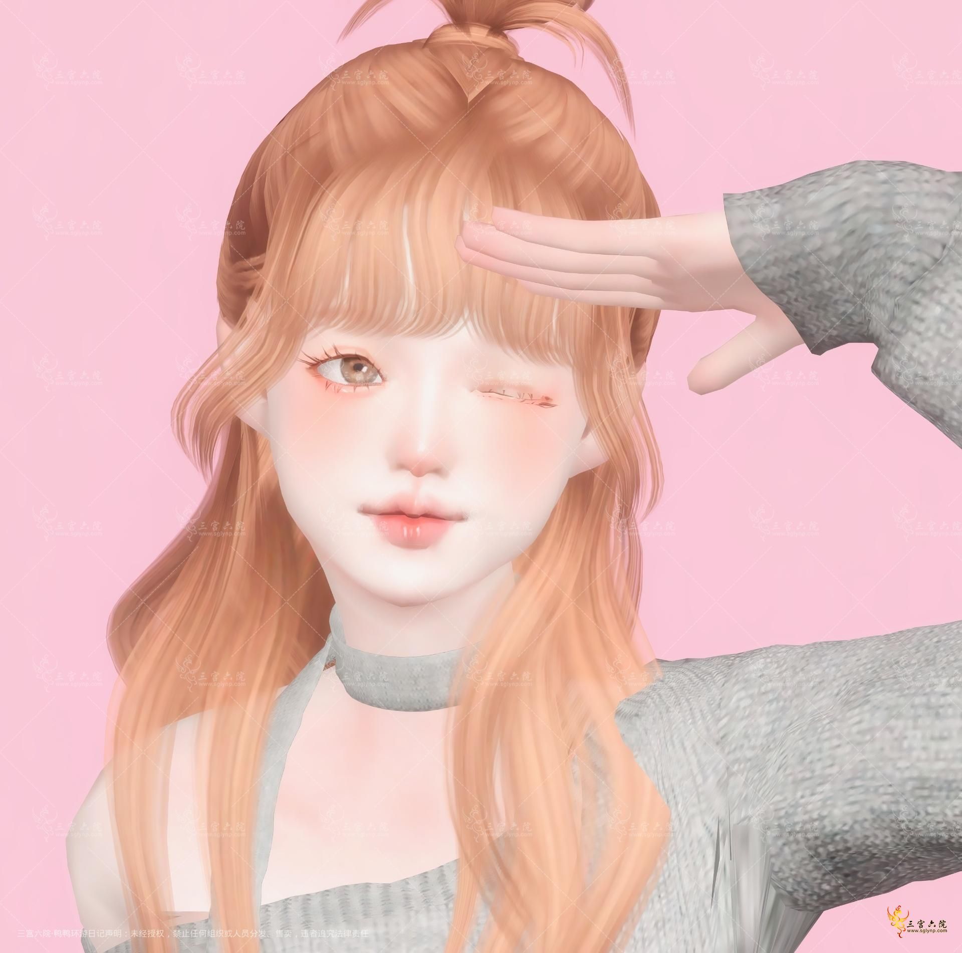 TS4_x64 2024-04-27 21-03-14.png
