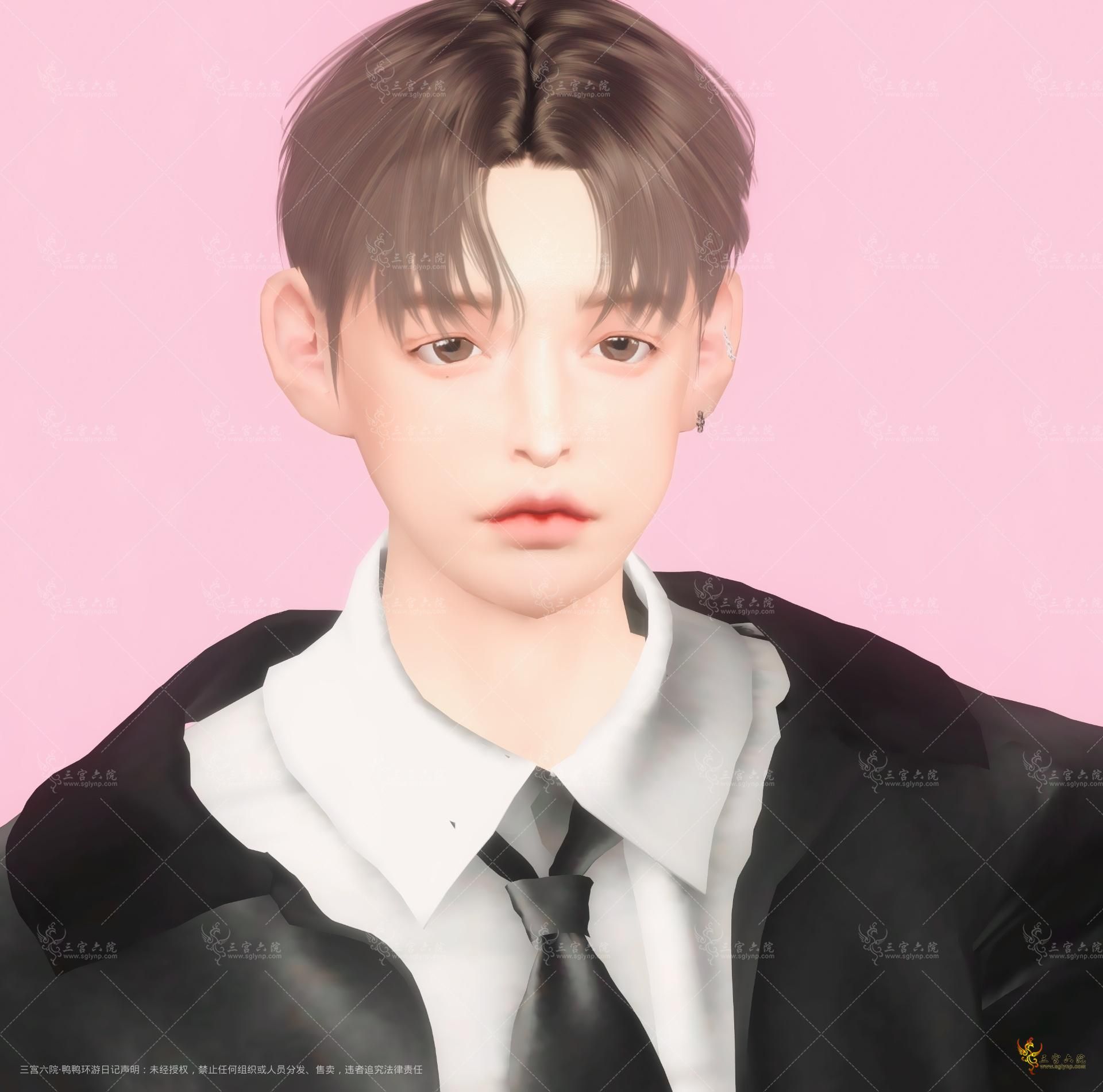 TS4_x64 2024-05-25 11-41-07.png