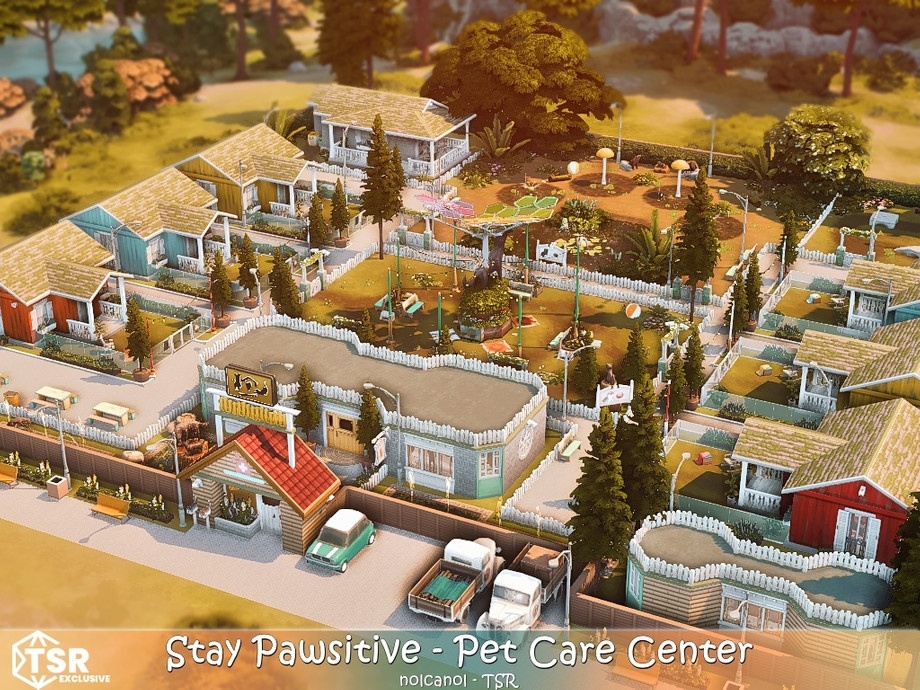 Stay Pawsitive Pet Care Center No CC.jpg