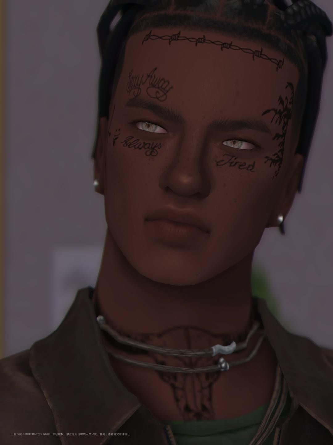 TS4_DX9_x64 2024-08-08 19-19-25.png