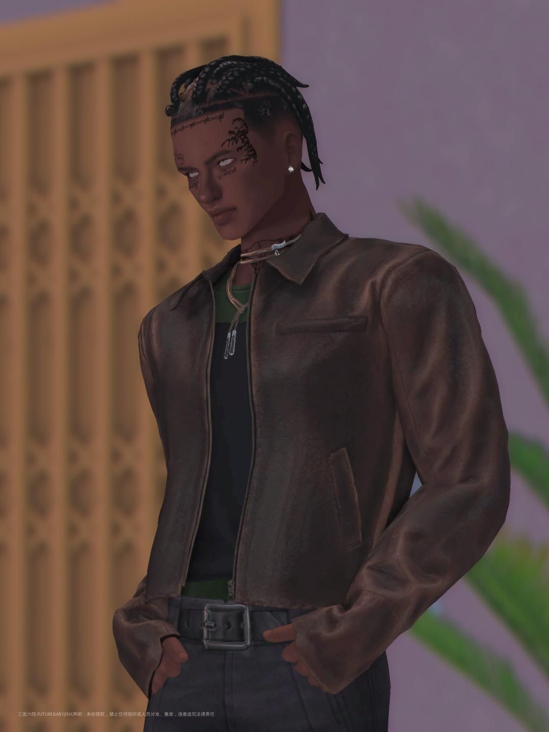 TS4_DX9_x64 2024-08-08 19-25-13.png