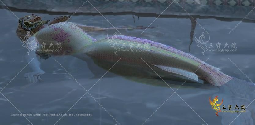 Image_1725019468950.png