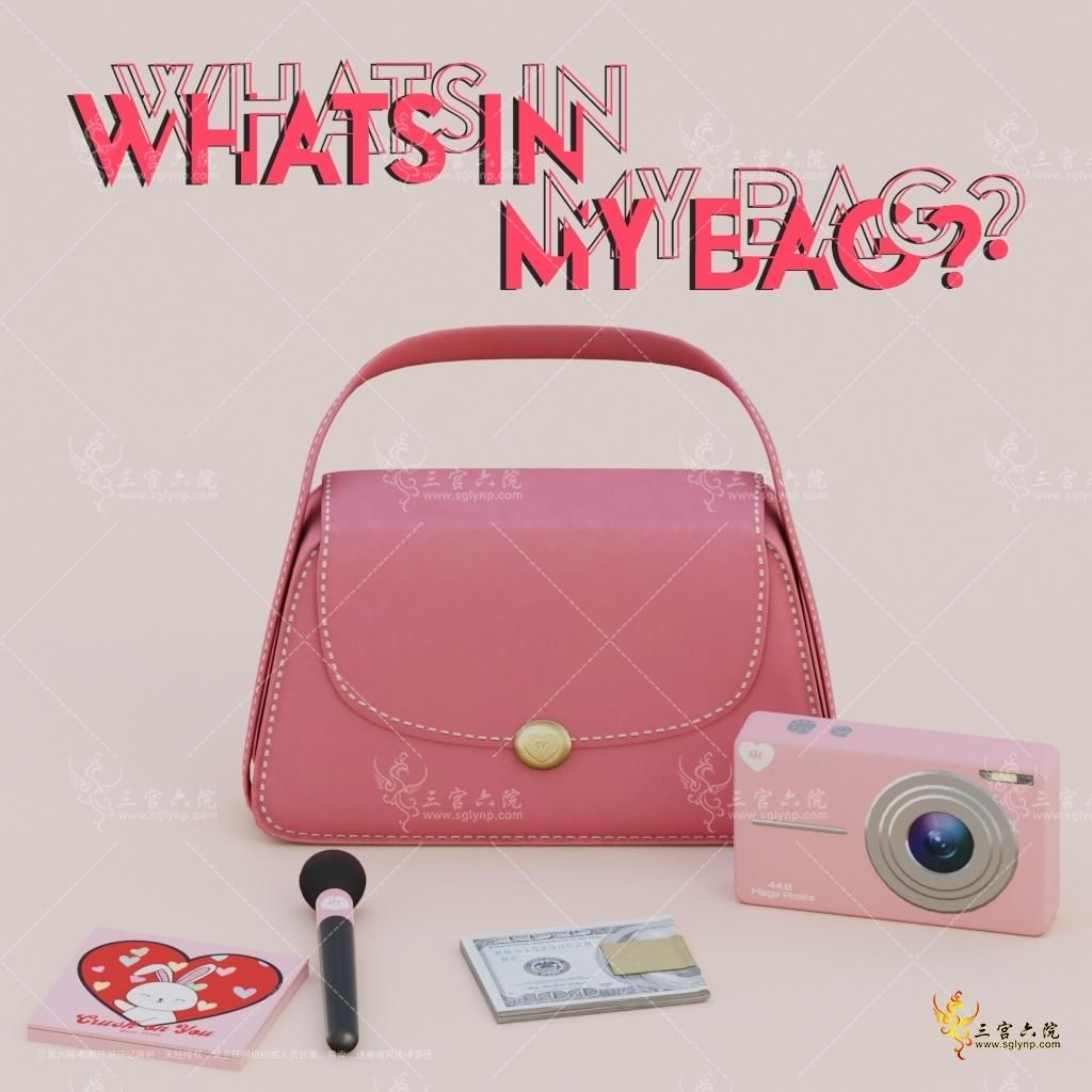 Whats in my bag.png