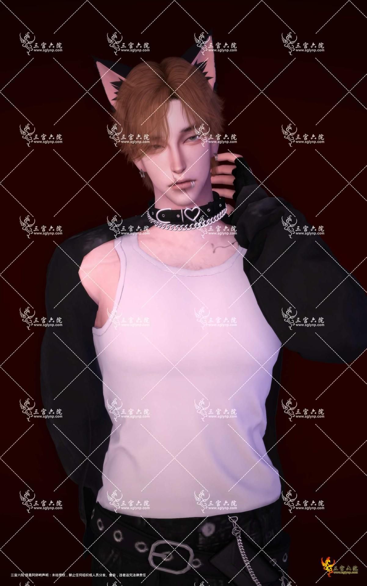 TS4_DX9_x64 2024-10-23 00-17-08.png