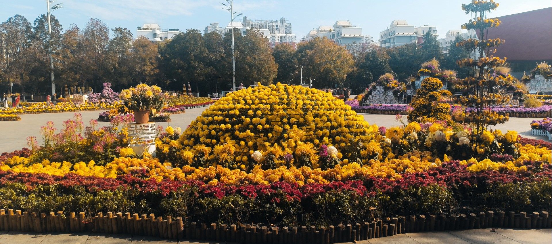 1000018683.jpg