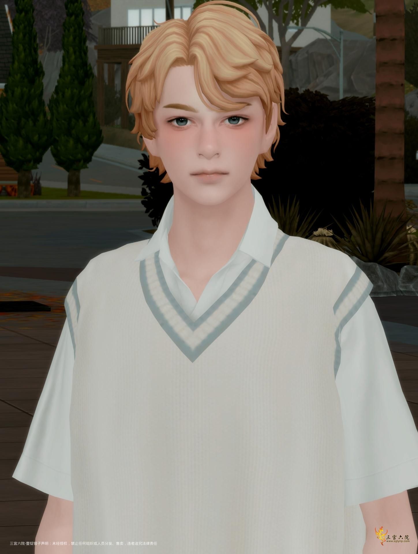 TS4_DX9_x64 2024-12-11 17-10-55.png