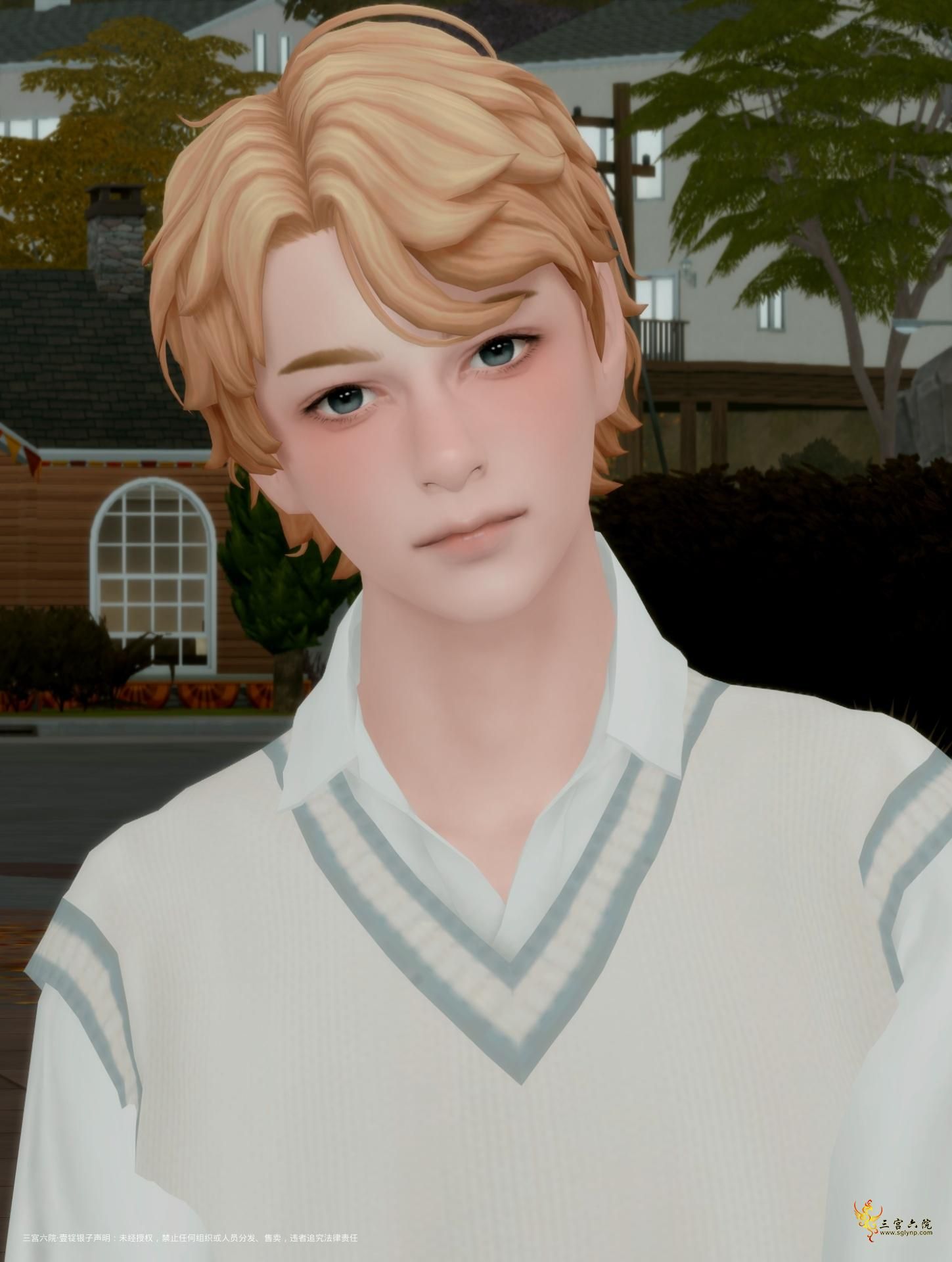 TS4_DX9_x64 2024-12-11 17-28-52.png