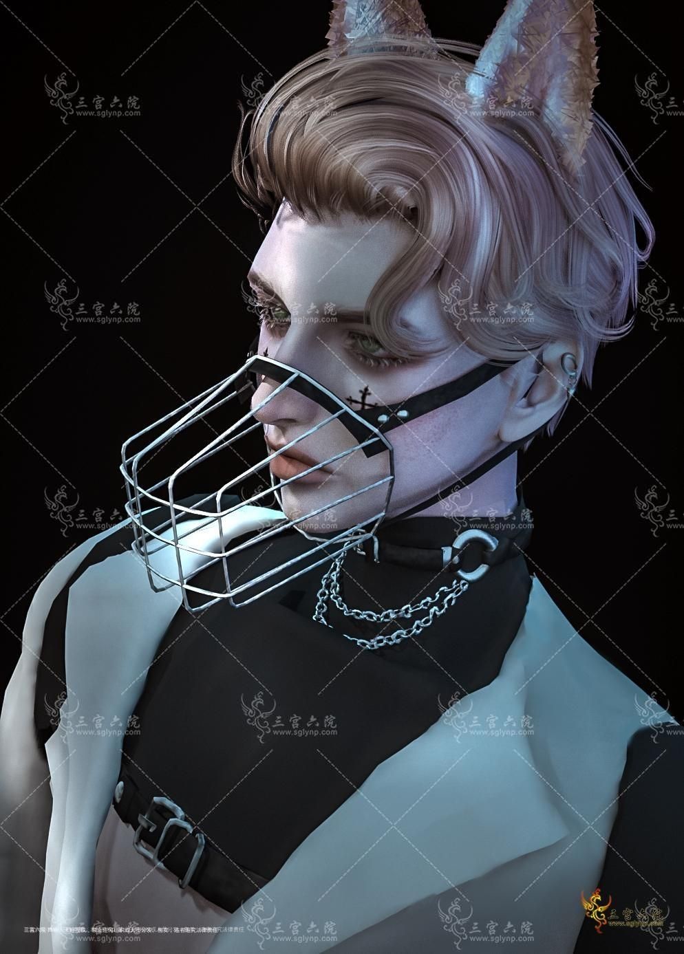 .jpg