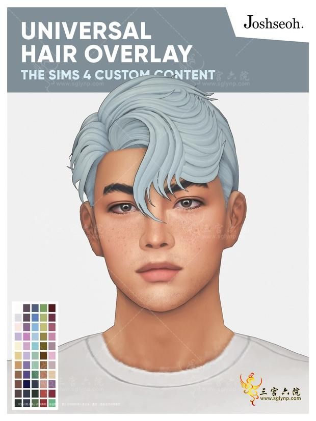 Cover Universal Hair Overlay.png