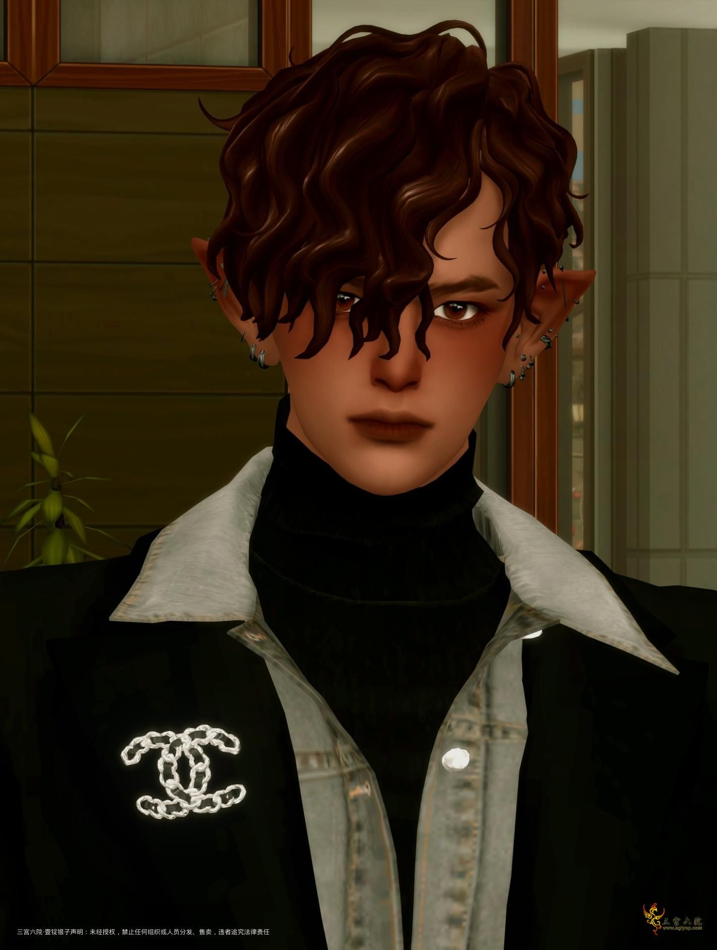 TS4_DX9_x64 2025-02-09 16-57-41.png