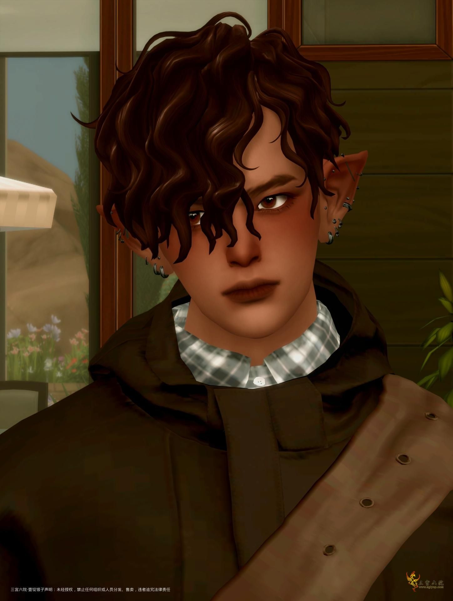 TS4_DX9_x64 2025-02-09 17-03-04.png