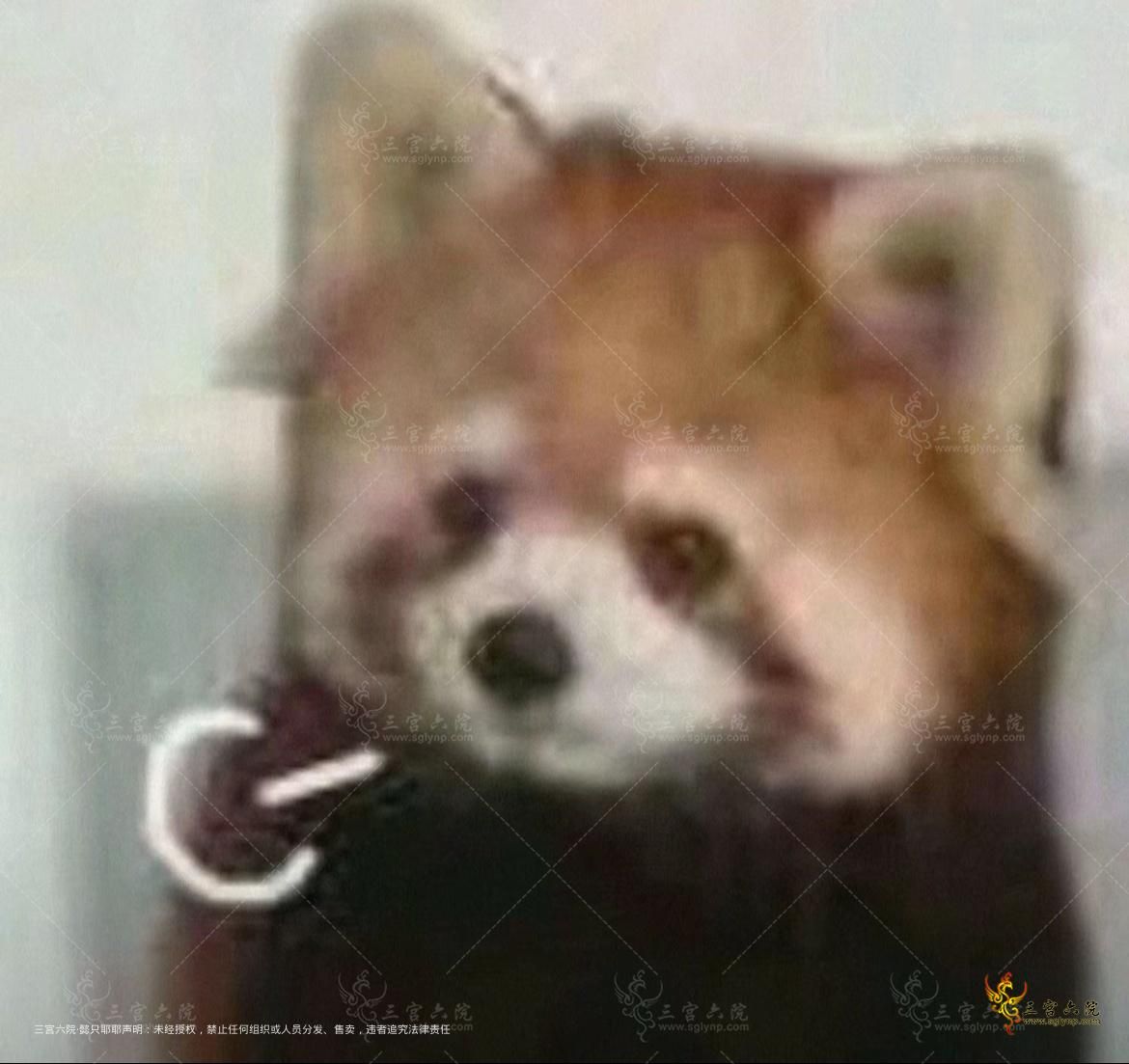 ΢ͼƬ_20250221105743.jpg