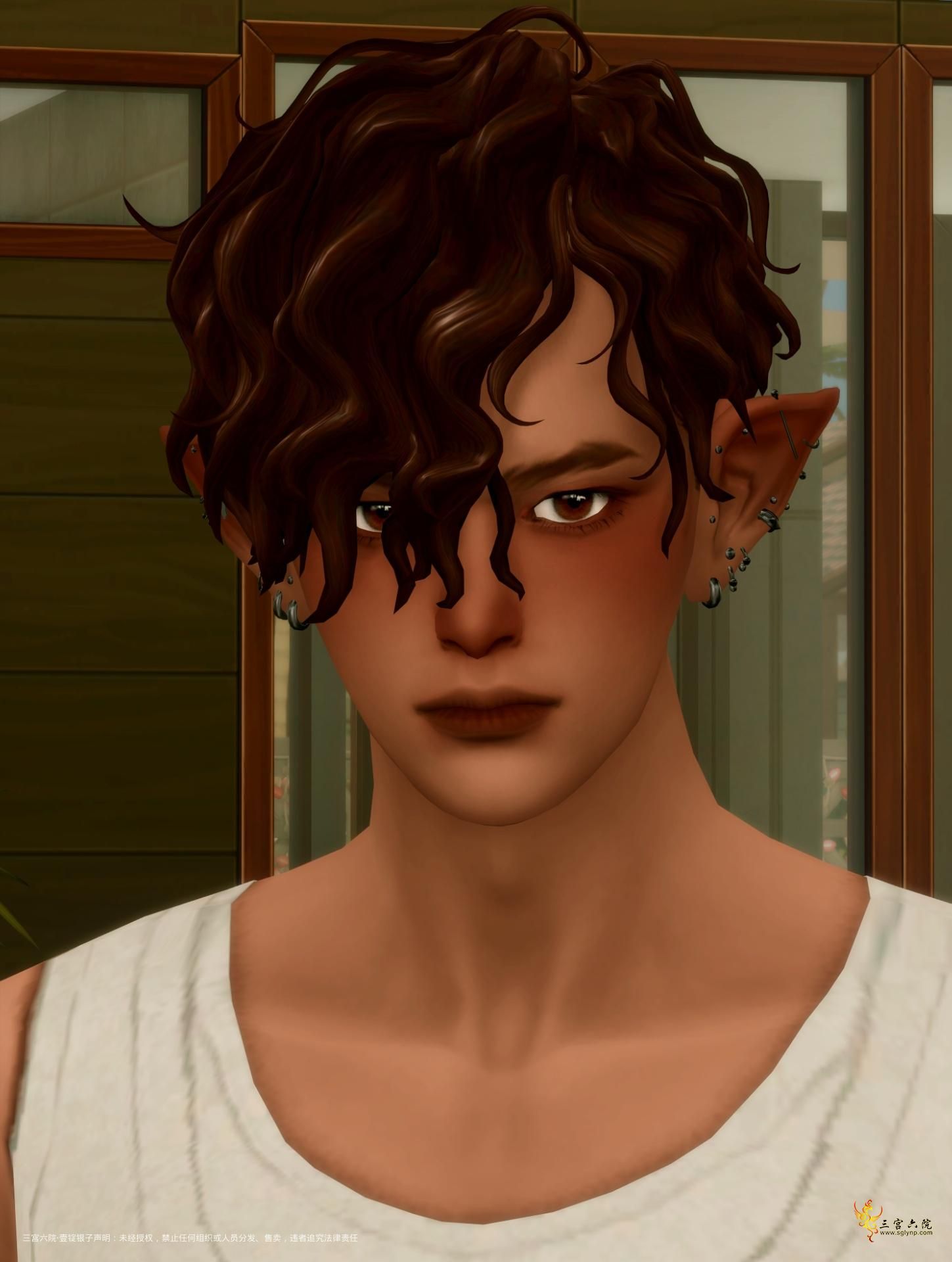 TS4_DX9_x64 2025-02-09 17-17-21.png