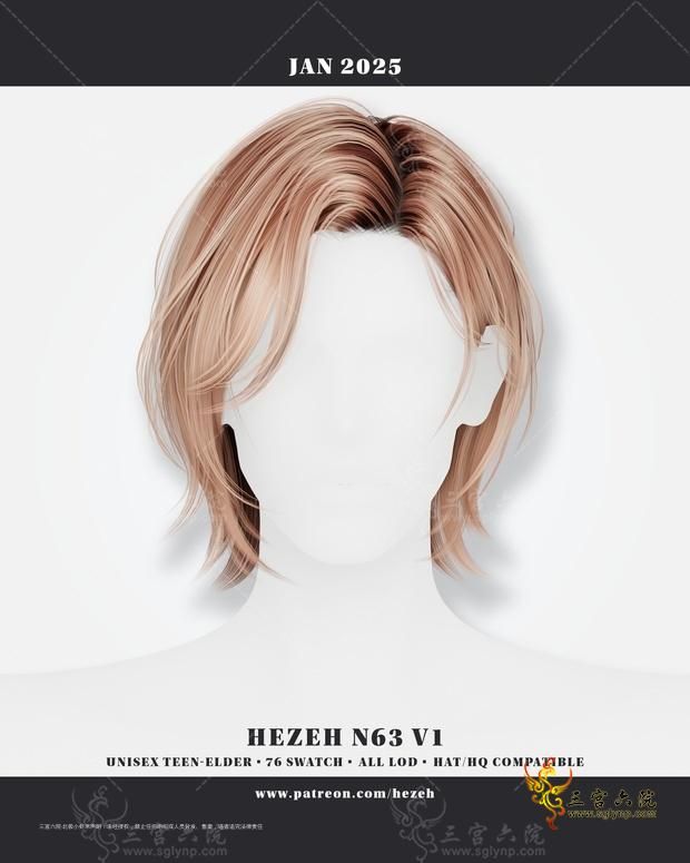 Hair No_63_v1.png