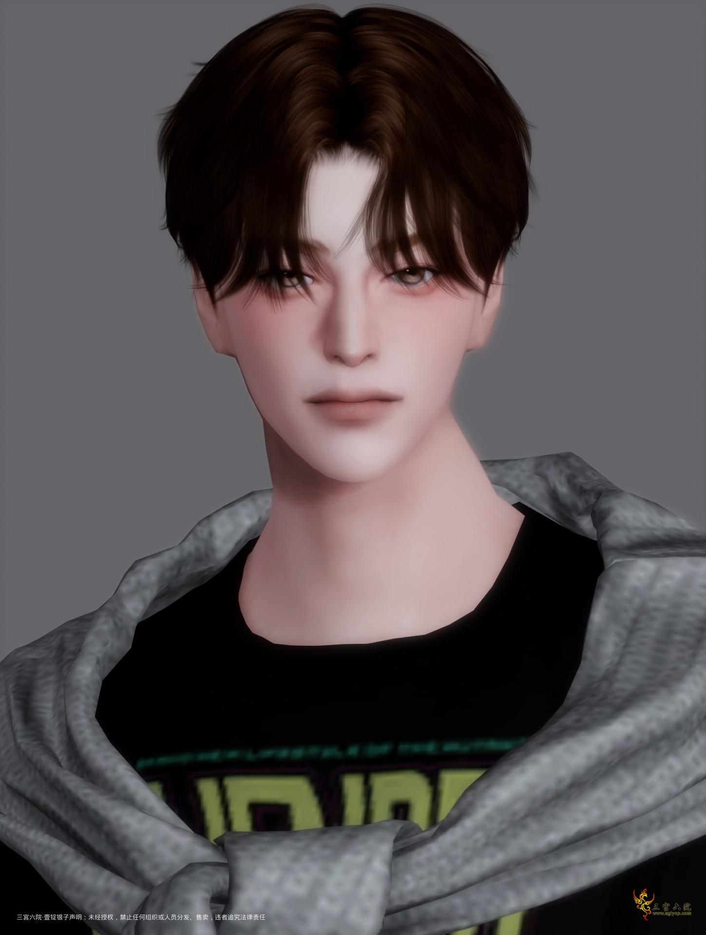 TS4_DX9_x64 2025-03-27 23-44-36.png