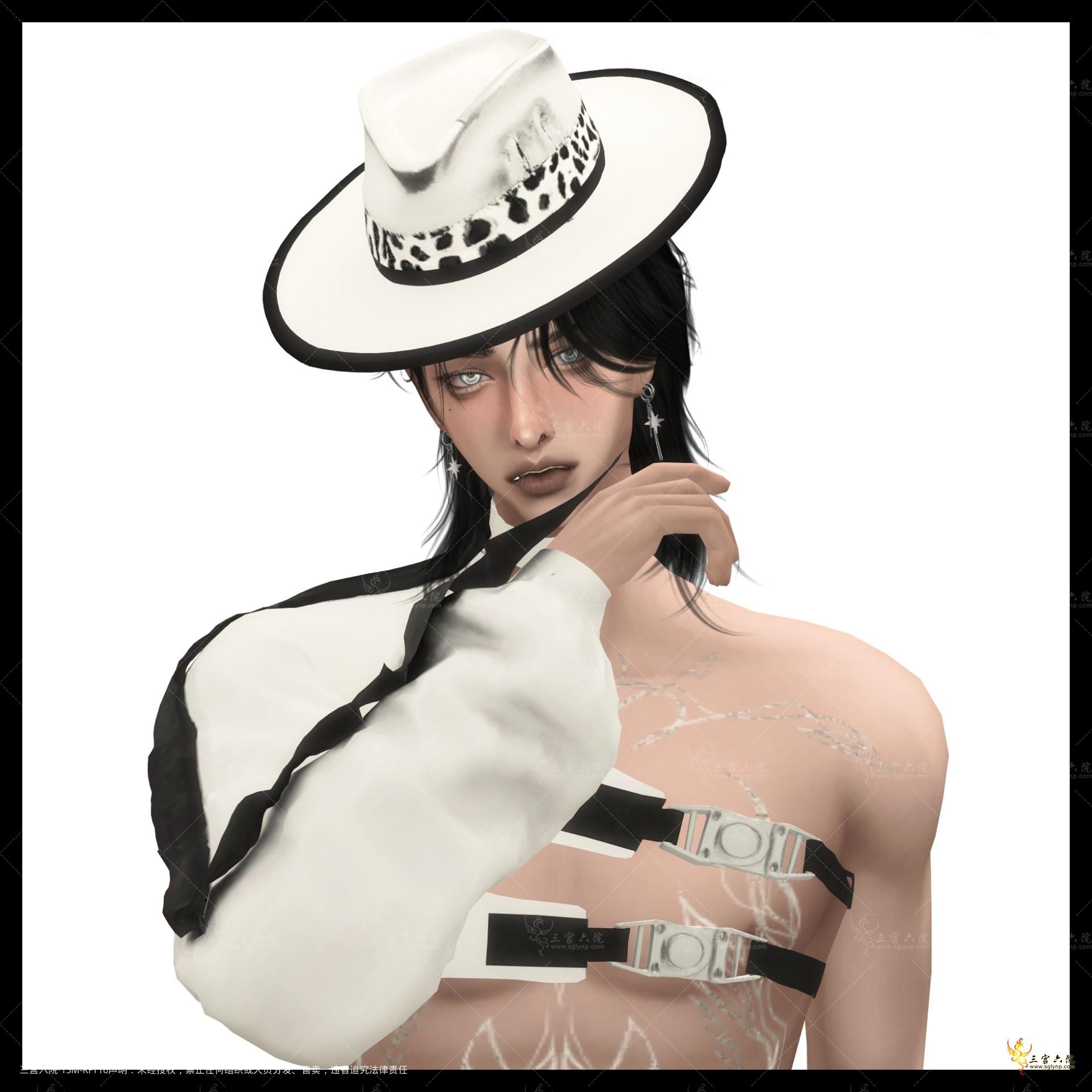catloverz2.png
