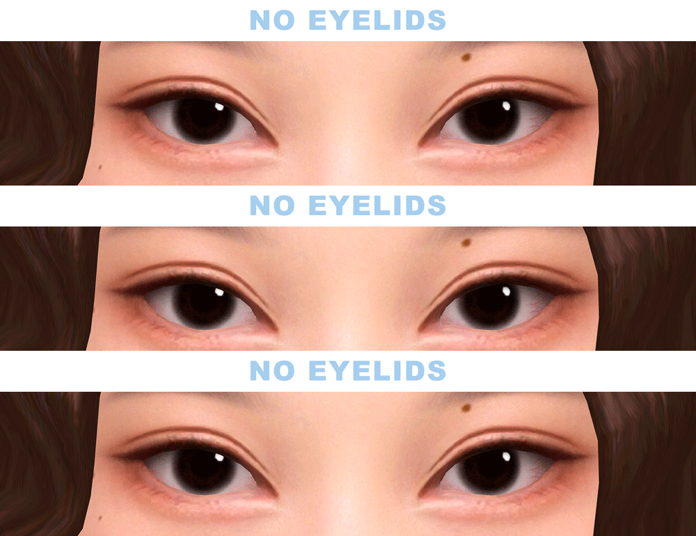 EYELIDS.GIF