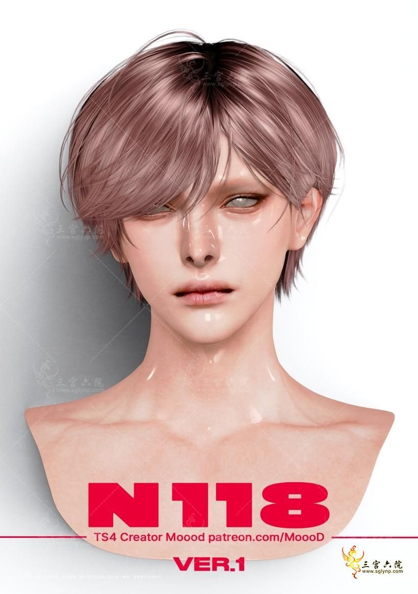 v1sn.png