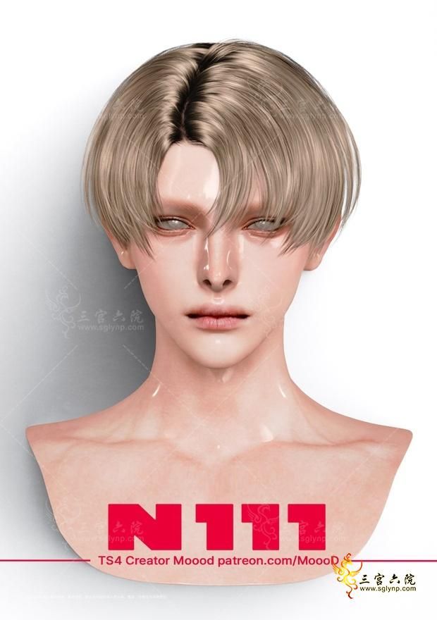 sn.jpg