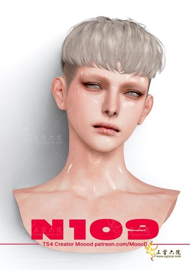 SN1.png