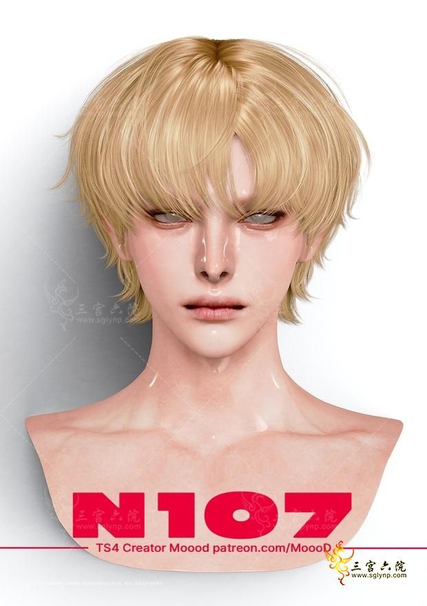 SN-1.png