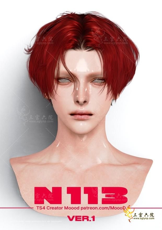 113sn-v1.png