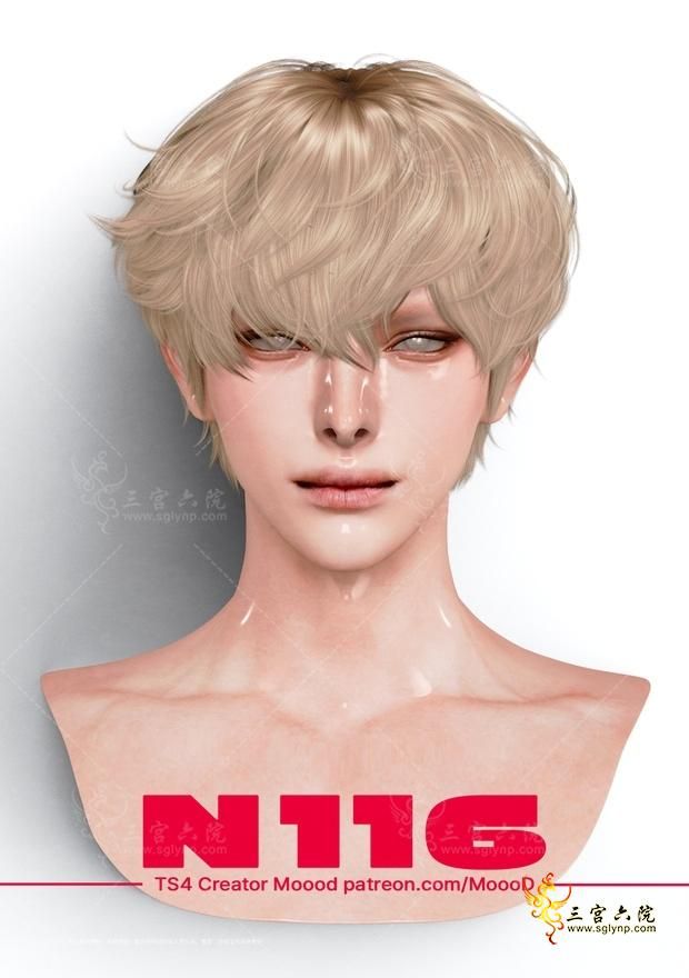 116sn.png