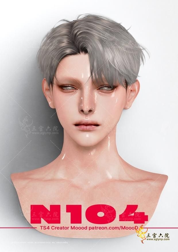 104sn1.png