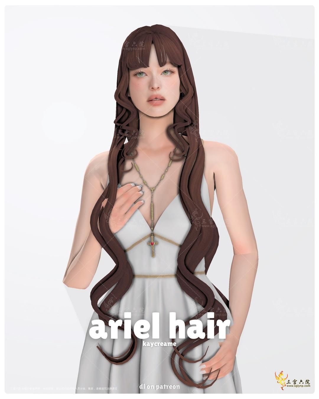 ariel hair.png