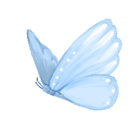 c4262858428d94883a189e76f09b3c31.gif