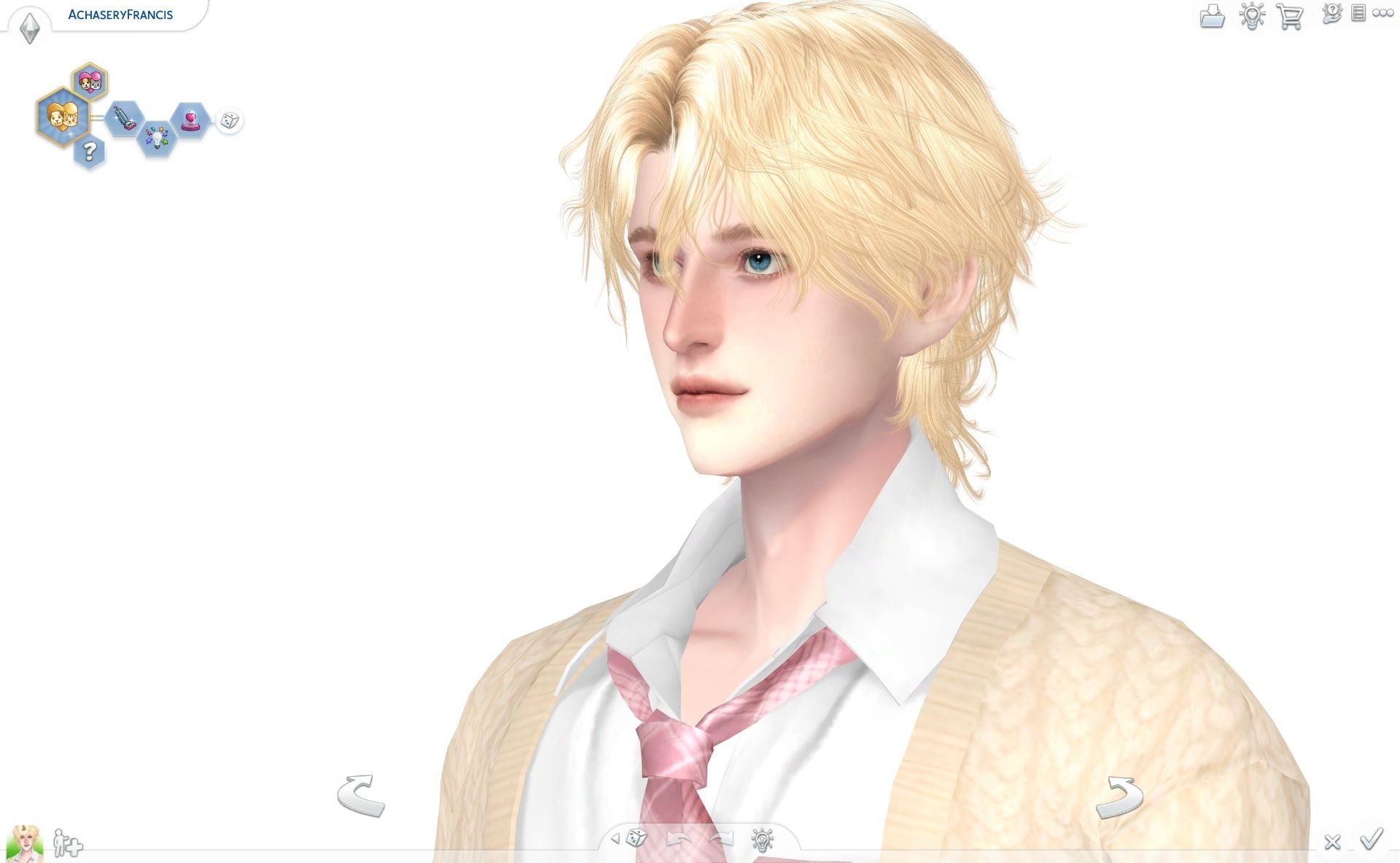 Francis CAS (3).png