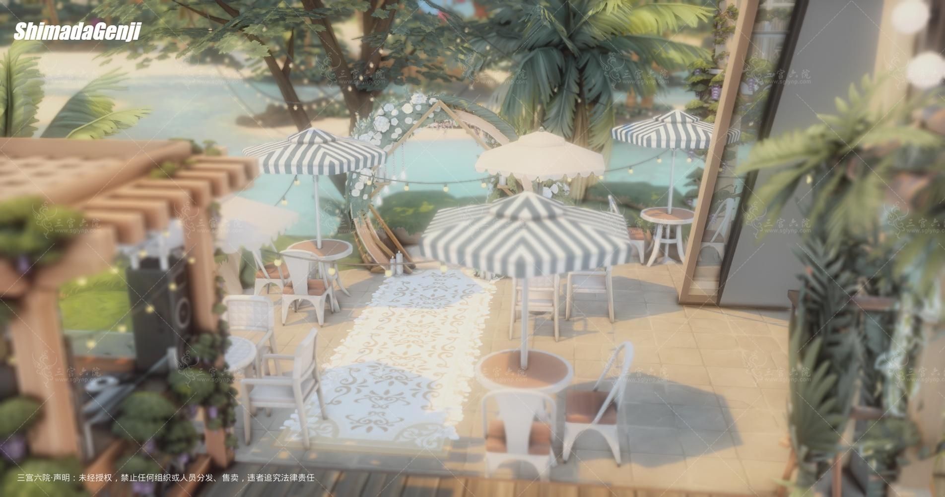 TS4_DX9_x64 2025-05-18 20-30-15.png