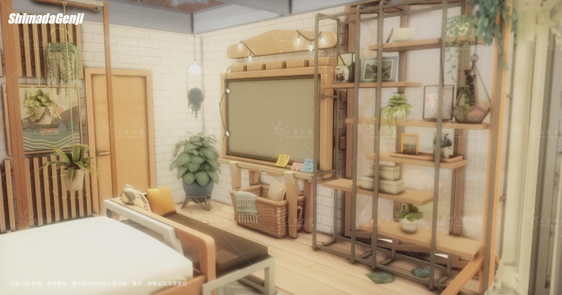 TS4_DX9_x64 2025-05-18 20-25-49.png