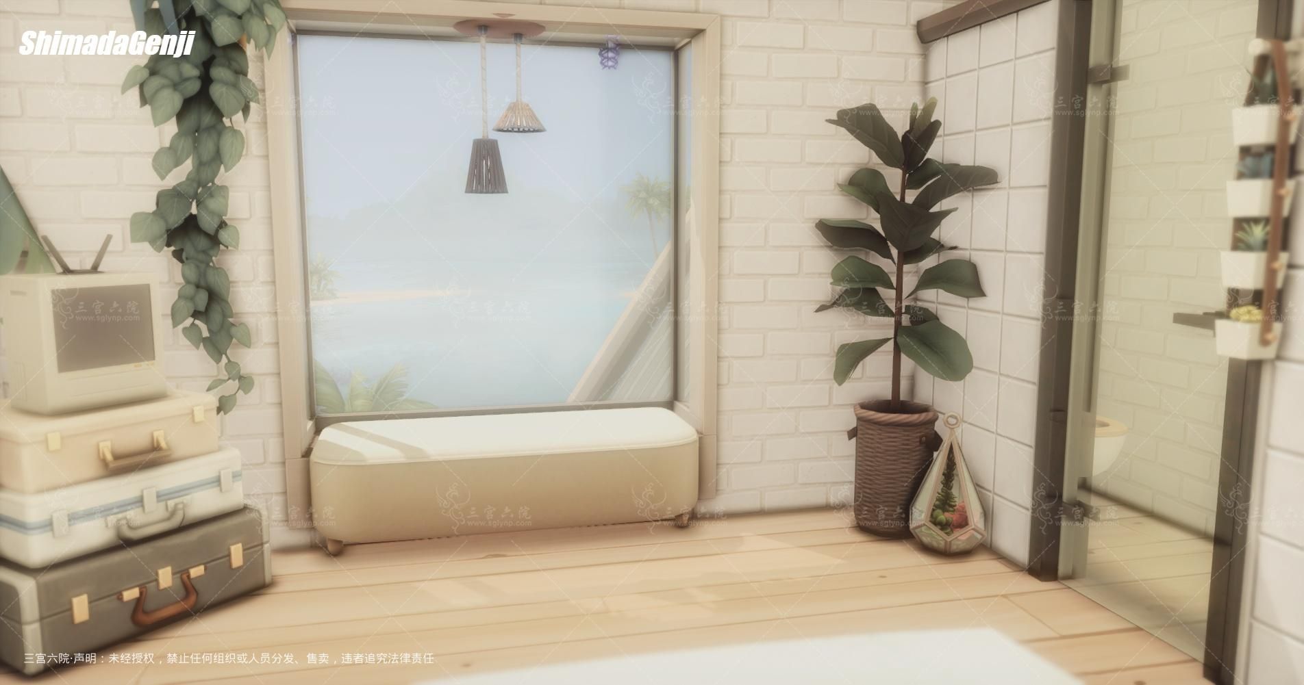 TS4_DX9_x64 2025-05-18 20-27-22.png