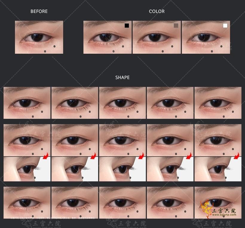v6 swatches.png