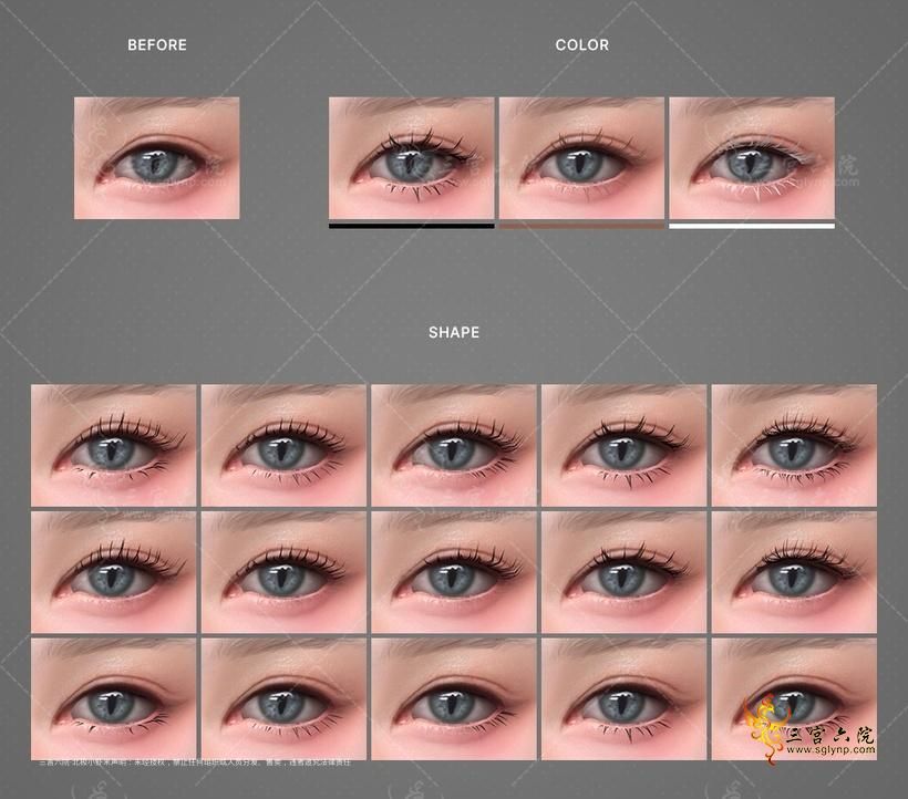 swatches.png