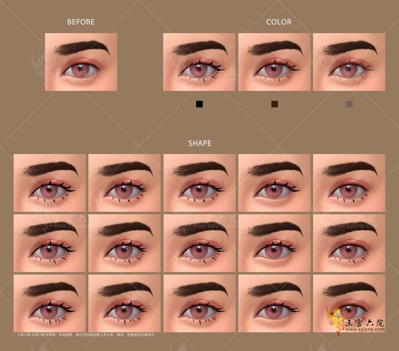 swatches (4).png