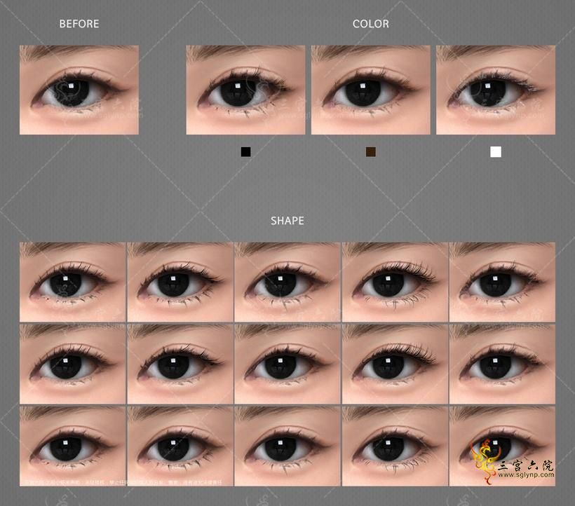 swatches (1).png
