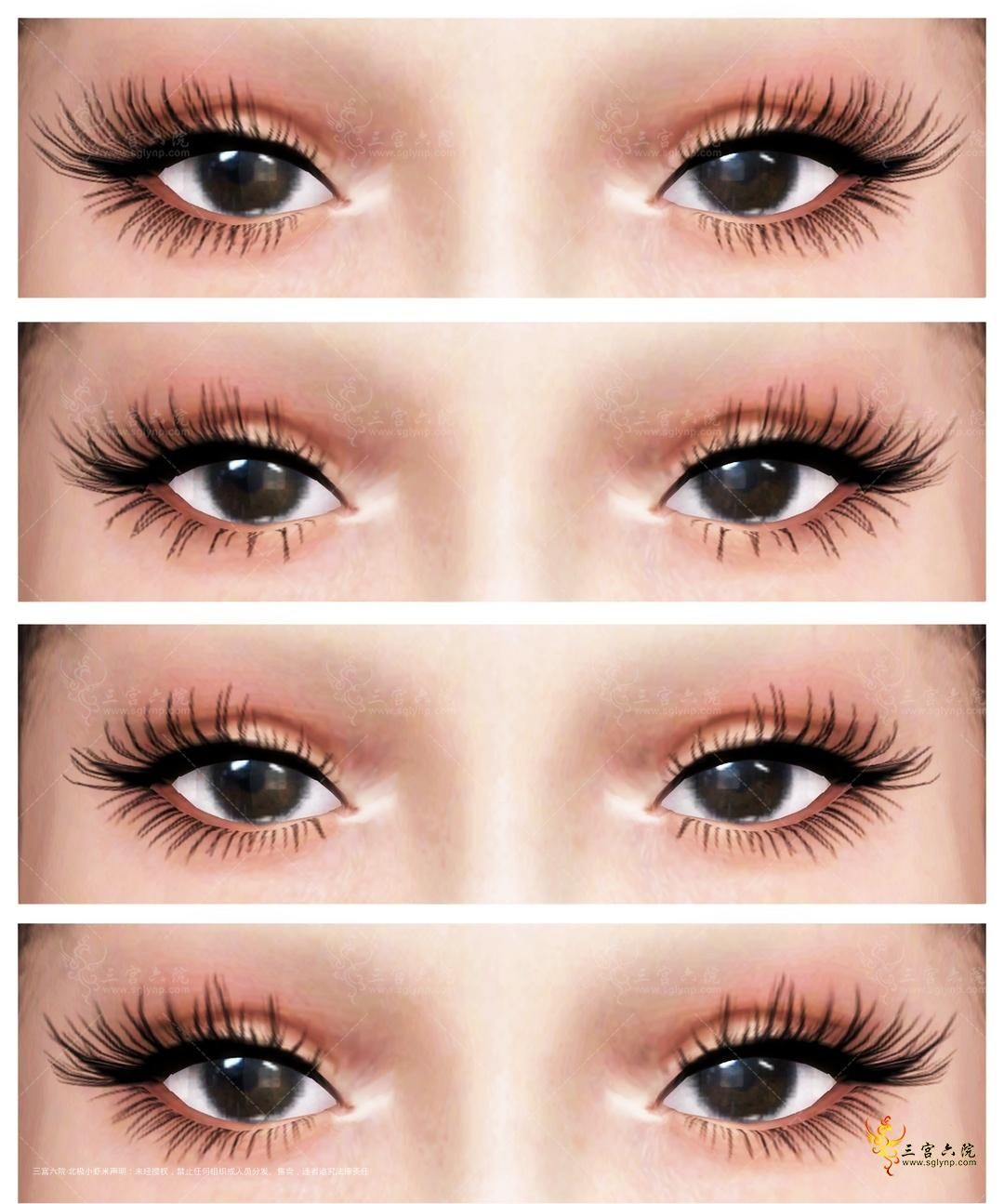 eyelashV41.png